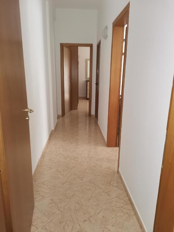 Home فلورا المظهر الخارجي الصورة